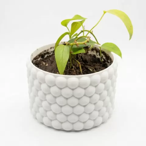 Bubble Planter