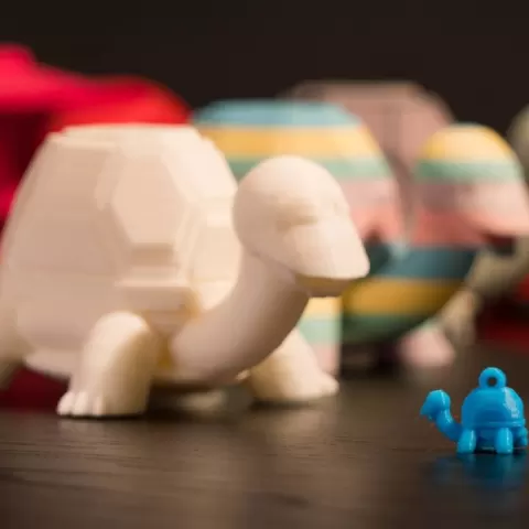 Turtle by MakeVr