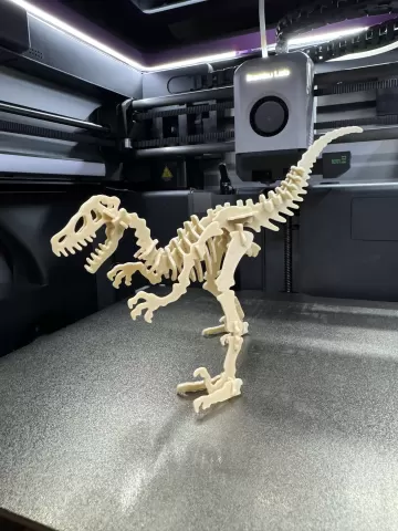 Velociraptor Kit Card