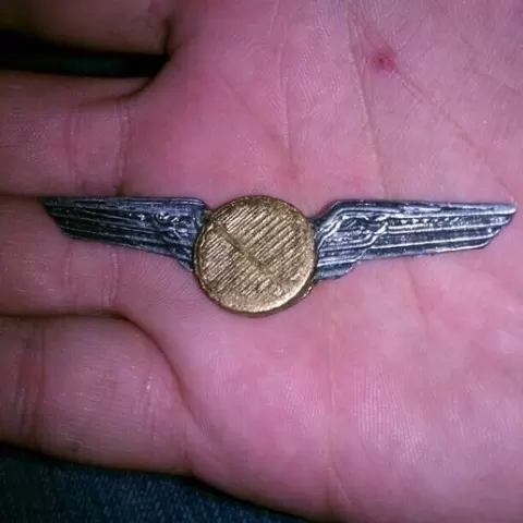 Pilots Wings