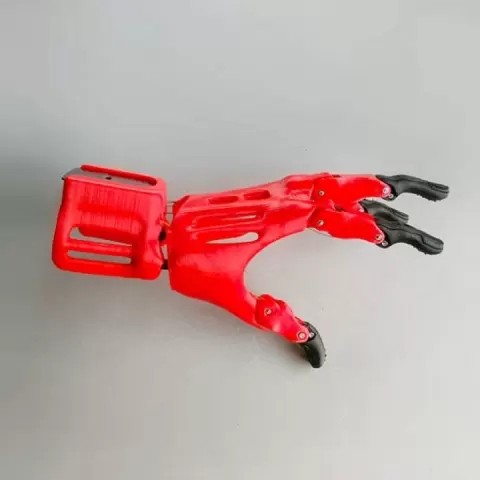 Prosthetic Hand by Sonia Verdu