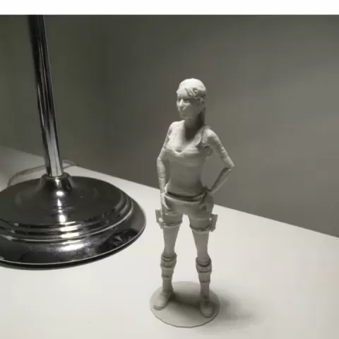Tomb Raider 3d model by solid