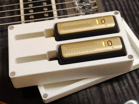 PositiveGrid Spark Link Case