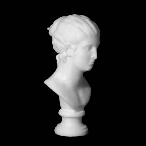 Peasant Girl of Frascati at The State Hermitage Museum, St Petersburg by Scan The World