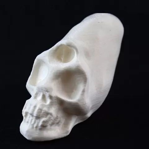 Alien Skull by zephyrin jaros grilli