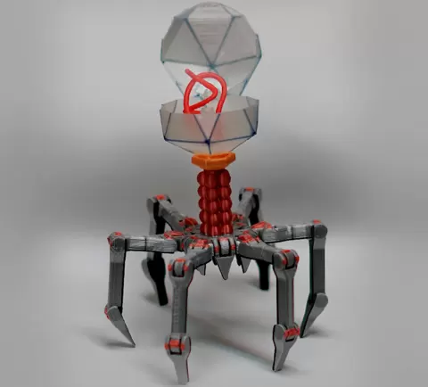 Cute Printed in Place Support Free Flexi Bacteriophage T4