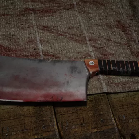 Butcher's Knife