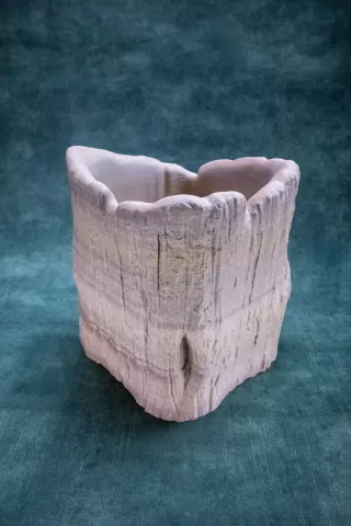 Trunk Pot (Prę Supported)