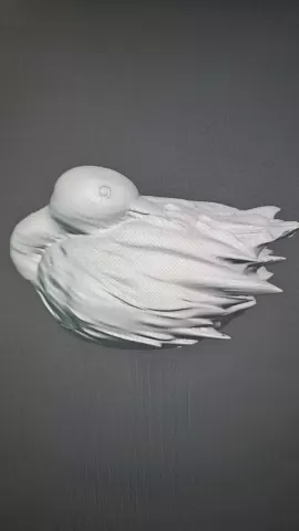 Duck Decoy - ShadyTrexx