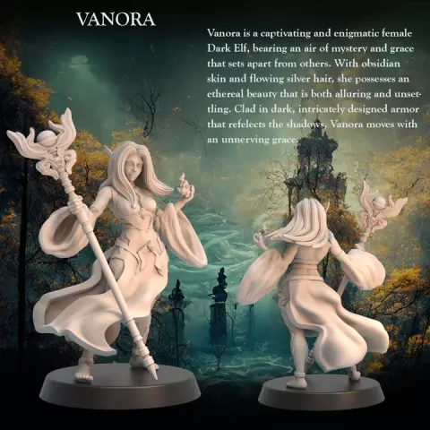 Dark Elf Sorceress Vanora - Dark Elf Sorceress - 32mm - Heroic scale by Ravi Sampath
