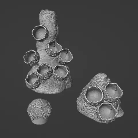 Alien Eggs Clusters by Michael Crossman