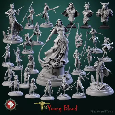 'The Young Blood' June 2024 release 24 STL's miniatures pre-supported + dnd 5e stats block by White Werewolf Tavern