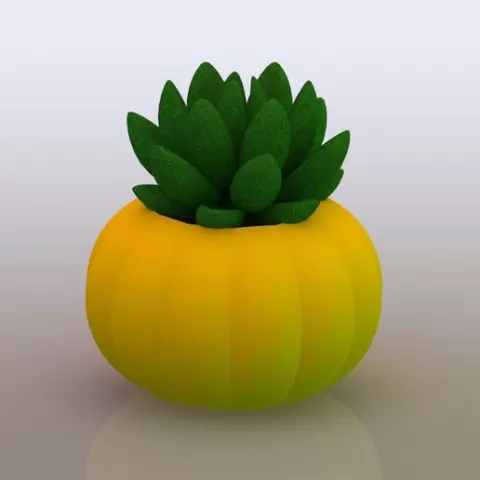Pumpkin Succulent Planter