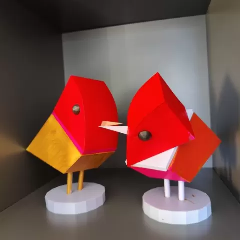 Bird