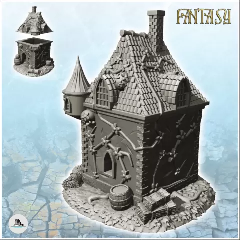 Medieval house with green walls and fireplace (2) - Medieval Fantasy Magic Feudal Old Archaic Saga 28mm 15mm by Hartolia Miniatures