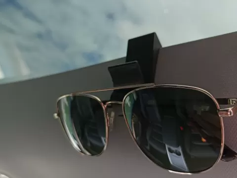Tesla Sunglasses Hook