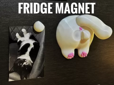 Funny Cat Fridge Magnet