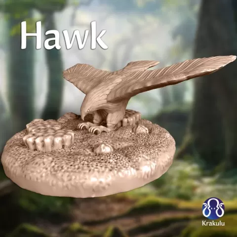 Hawk by Krakulu