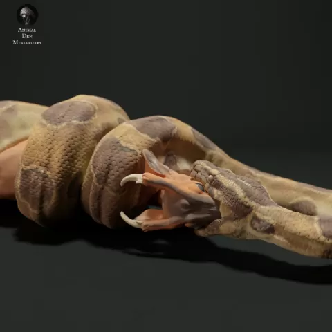 Burmese Python eating Muntjac by Animal Den Miniatures