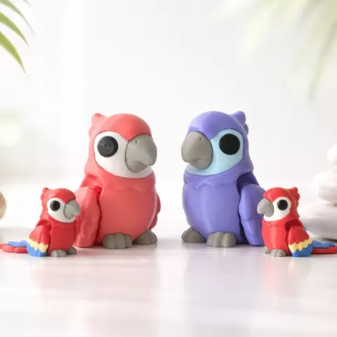 MACAW by Koza Design