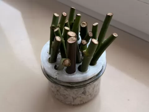 Parametric Plant Propagation Lid