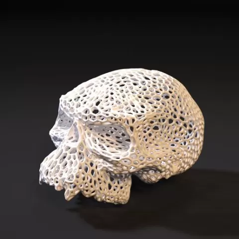 Gul'dan Skull