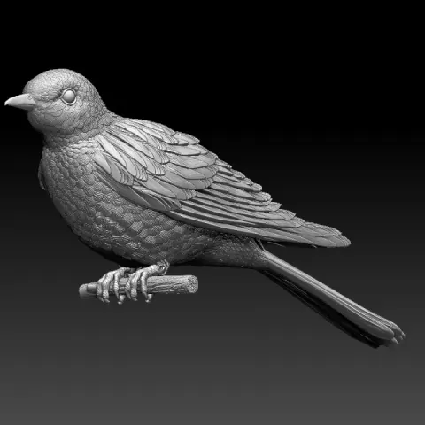 cuckoo by Dmitry Tishchenkov