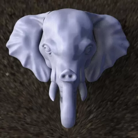 elephant by Dmitry Tishchenkov