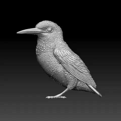 kibgfisher by Dmitry Tishchenkov