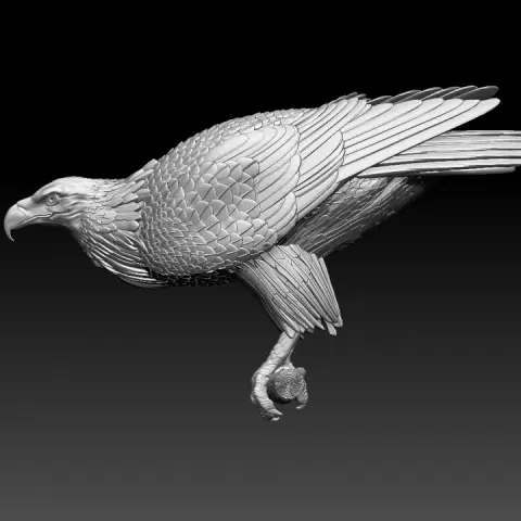 eagle by Dmitry Tishchenkov