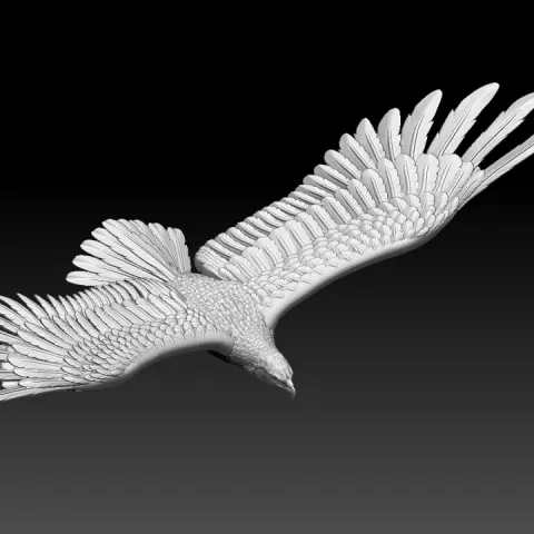 eagle by Dmitry Tishchenkov