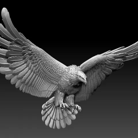eagle by Dmitry Tishchenkov