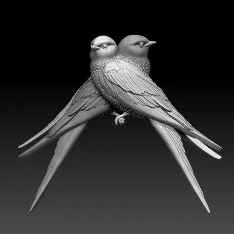 swallow by Dmitry Tishchenkov