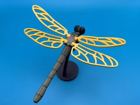 Voronoi Dragonfly