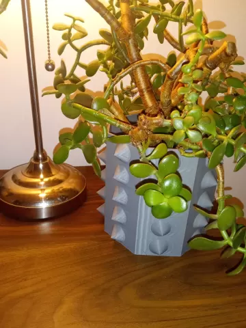 Spiky Planter
