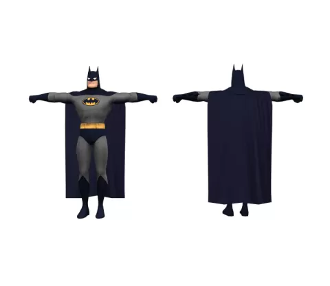 Bruce Wayne Batman Animated