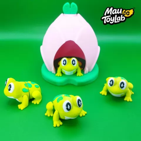 Flexi Frog with Lotus Capsule – Articulated Frog Toy | No Supports by Mau ToyLab