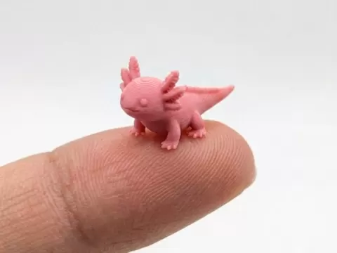 The smallest axolotl in the world (Nozzle 0.4)
