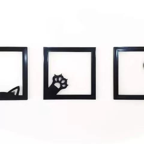 Cat frame