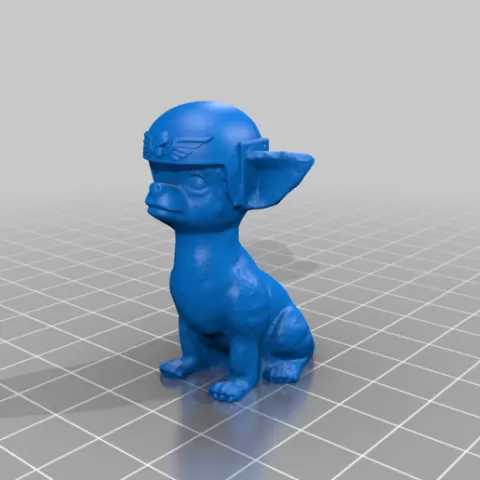 Chihuahua Guard Dog