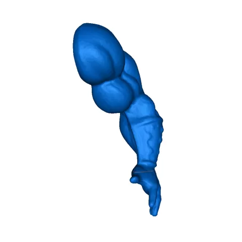 Snake l arm