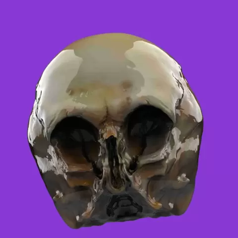 Starchild Skull - carlitobriganteskull
