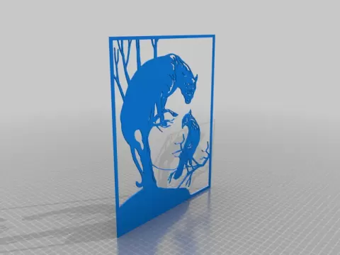 Illusion face