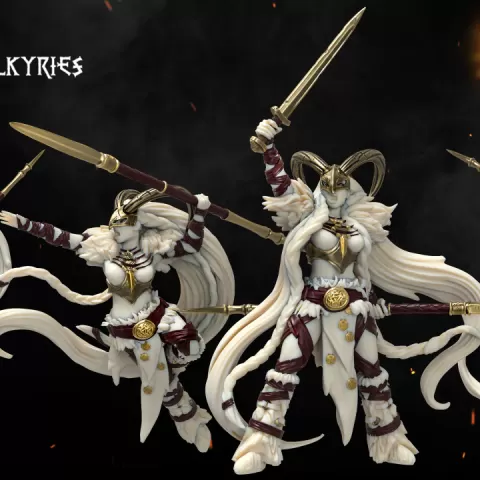 Valkyries by Heroes Infinite