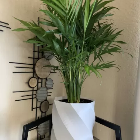 Dazzling Vase by MARVIN WILLIAMS