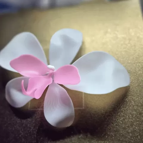 3D Printable Orchid Flowers – Shape with Heat Gun & Bring Your Orchid to Life!
