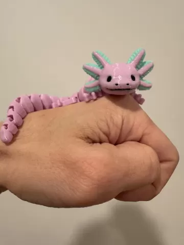 Multicolor articulated axolotl w/ articulated limbs