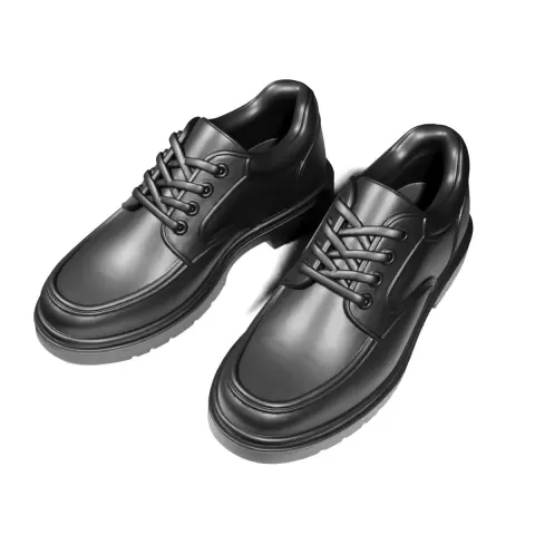 Men's shoes - 3D Everything