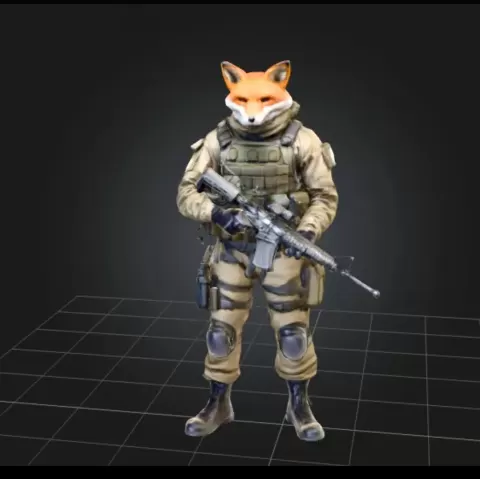 Tactical fox 2 - Foxtrot007