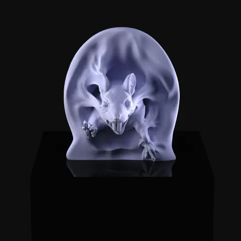 Summoned Rat